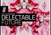 Zenhiser Delectable Future WAV