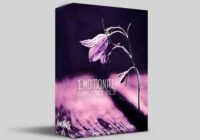 IanoBeatz Emotional Sample Pack Vol.2 WAV