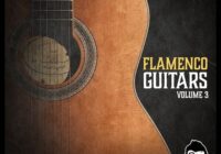 Vanilla Groove Studios – Flamenco Guitars Vol.3 WAV