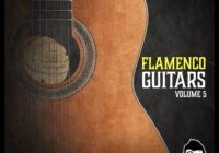 Vanilla Groove Studios Flamenco Guitars Vol.5 WAV