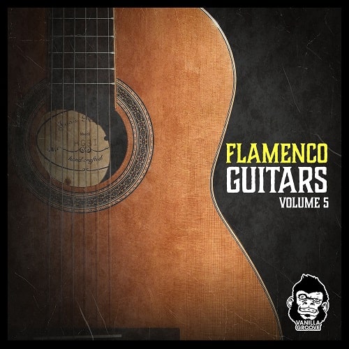 Vanilla Groove Studios Flamenco Guitars Vol.5 WAV