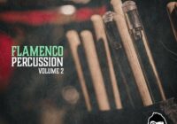 Vanilla Groove Studios Flamenco Percussion Vol.2 WAV