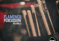 Vanilla Groove Studios Flamenco Percussion Vol.3 WAV