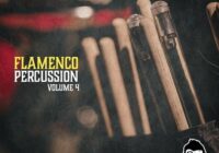 Vanilla Groove Studios Flamenco Percussion Vol.4 WAV