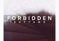 Forbidden Rhythms – Prog House & Techno Sounds (WAV MIDI)