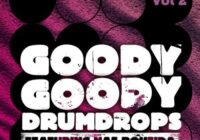 DrumDrops Goody Goody Drumdrops Vol 2 MULTiFORMAT