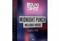 PML Midnight Punch – Drums for Melodic House + Techno WAV