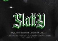 PVLACE Secret Loopkit Vol.4 + SLATTY FLP, Trackouts, Mastering Chain