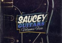 Saucey Guitars Vol.5 WAV