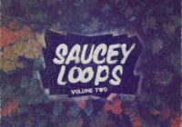 Saucey Loops Volume 2 WAV