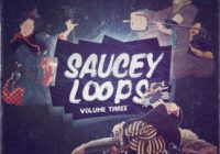 Saucey Loops Volume 3 WAV