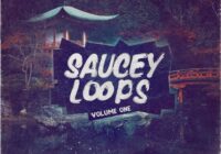 Saucey Loops Vololume 1 WAV