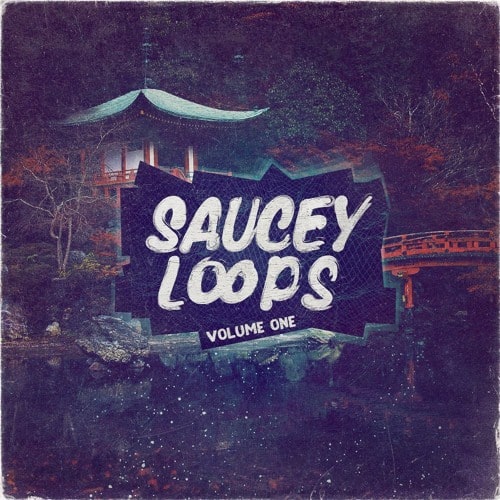 Saucey Loops Vololume 1 WAV