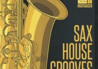 Looptone Sax House Grooves WAV