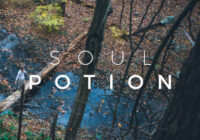 Soul Potion Organic Sounds WAV