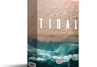 Prodbyocean Tidal ONE SHOT Kit WAV