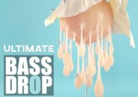 Soundsmiths Ultimate Bass Drop Collection WAV FXP