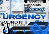 ChaseVibez & Synthetic Urgency One Shot Kit WAV MIDI