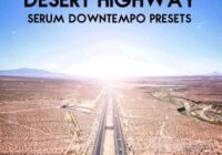 ModeAudio Desert Highway – Serum Downtempo Presets