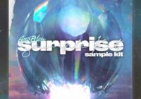 Ayo Bleu Surprise Sample Pack WAV