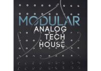 BFA Modular: Analog Tech House WAV