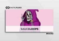 Digital Plugs Brackz Sauce Loops (Loop Kit) WAV