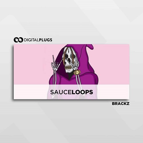 Digital Plugs Brackz Sauce Loops (Loop Kit) WAV