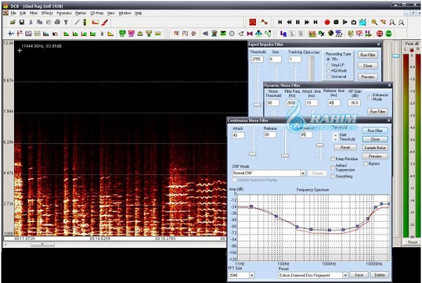 Diamond Cut Audio Restoration Tools 10.75 [WIN]