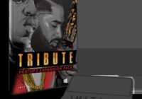 Tribute Expansion for Heatup3 245 New Presets Tribute comes with 245 additional presets for Heatup3 inspired by artists such as Nipsey Hussle, XXX Tentacion, Notorious Big, 2pac, and many more. Expand your Heatup3 library with new bass, leads, pads, plucks, strings, synths, keys and more. All instruments have been captured in 24Bit / 44.1kHz stereo format. This expansion is ~5GB in size, Heatup3 in VST or Audio Unit format is needed to use this expansion pack. 245 Additional Presets for Heat Up 3 5 GB Content Qries Links