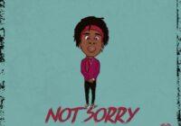 King Loops Not Sorry Vol.1 WAV MIDI