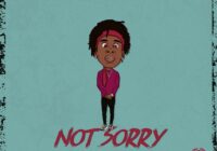 King Loops Not Sorry Vol.3 WAV MIDI