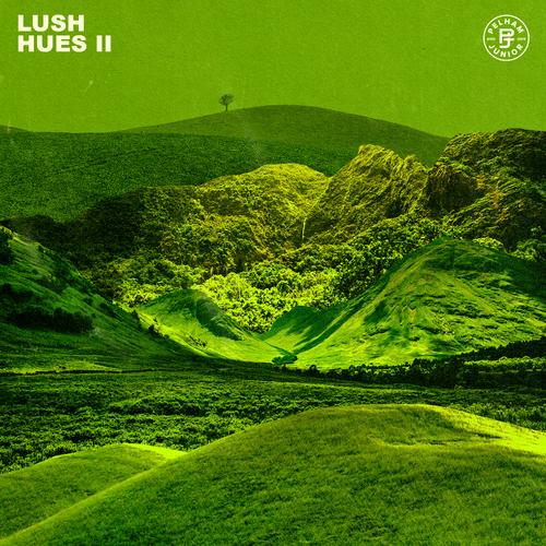 Lush Hues 2 (Sample Pack) WAV