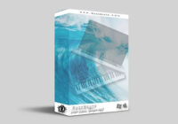 RazzBeats Trap Tidal Kit (Drum & Loop Kit) WAV