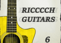 Regal Loops Ricccch Guitars 6 WAV