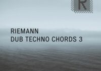 Riemann Kollektion Riemann Dub Techno Chords 3 WAV