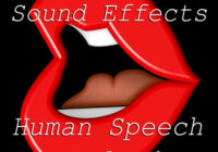 Vicious Vocal Sound Effects 1 (Human Body Vol.1) WAV