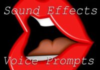 Vicious Vocal Sound Effects 15 (Voice Prompts Vol.3) WAV