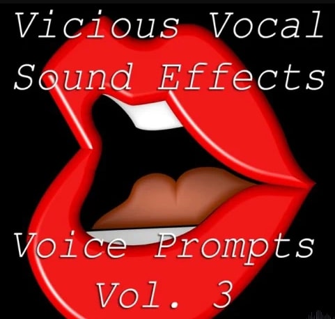 Vicious Vocal Sound Effects 15 (Voice Prompts Vol.3) WAV