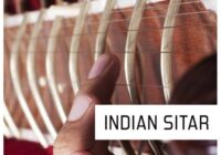Pulsed Records World Series: Indian Sitar WAV MIDI