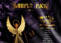 ledim Sample Pack vol.1 WAV FLP