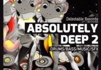 Delectable Records Absolutely Deep 02 MULTIFORMAT