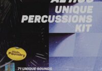 Minta Foundry Al Hug Unique Percussions Kit Vol.1 WAV AIFF