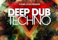 Future Loops Deep Dub Techno WAV