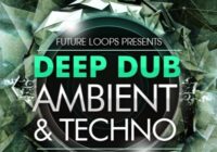 ture Loops Deep Dub – Ambient & Techno WAV