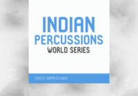 Exotic Refreshment Indian Percussions – World Series WAV