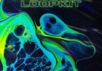 Lost Files (Loop Kit) WAV