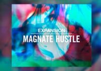 NI Expansion: Magnate Hustle v2.0.1 WIN & MAC