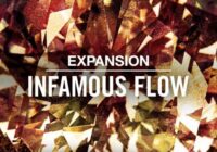 NI Expansion: INFAMOUS FLOW v1.0.0 [WIN & macOS]