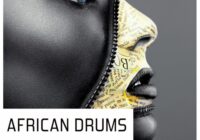 Pulsed Records World Series: African Drums WAV