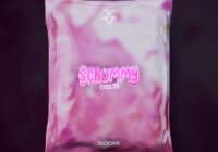 Scori Scrummy Drum kit WAV MIDI FST